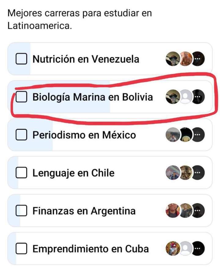 Las mejores carreras para estudiar