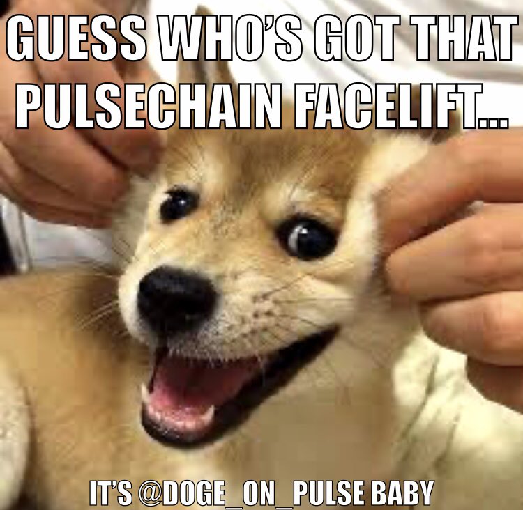 evenmoreniche's tweet photo. @DOGE_on_Pulse let’s get pulsing $doge https://t.co/LNTnuFYza8