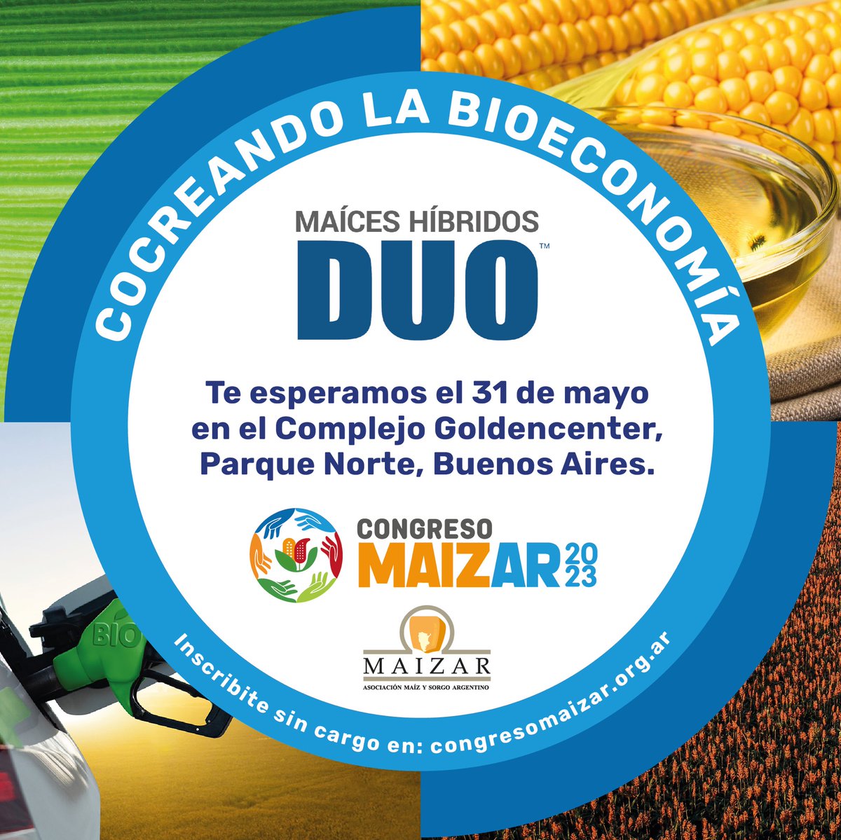MaicesDuo's tweet photo. Te queremos invitar este 31/05 a #Maizar2023 
Su nueva edición “Cocreando la bioeconomía” tendrá lugar en el Complejo Golden Center (CABA) Inscripciones 👉https://t.co/CSdDOiX8qg  ¡Te esperamos! https://t.co/1EfInlpgUZ