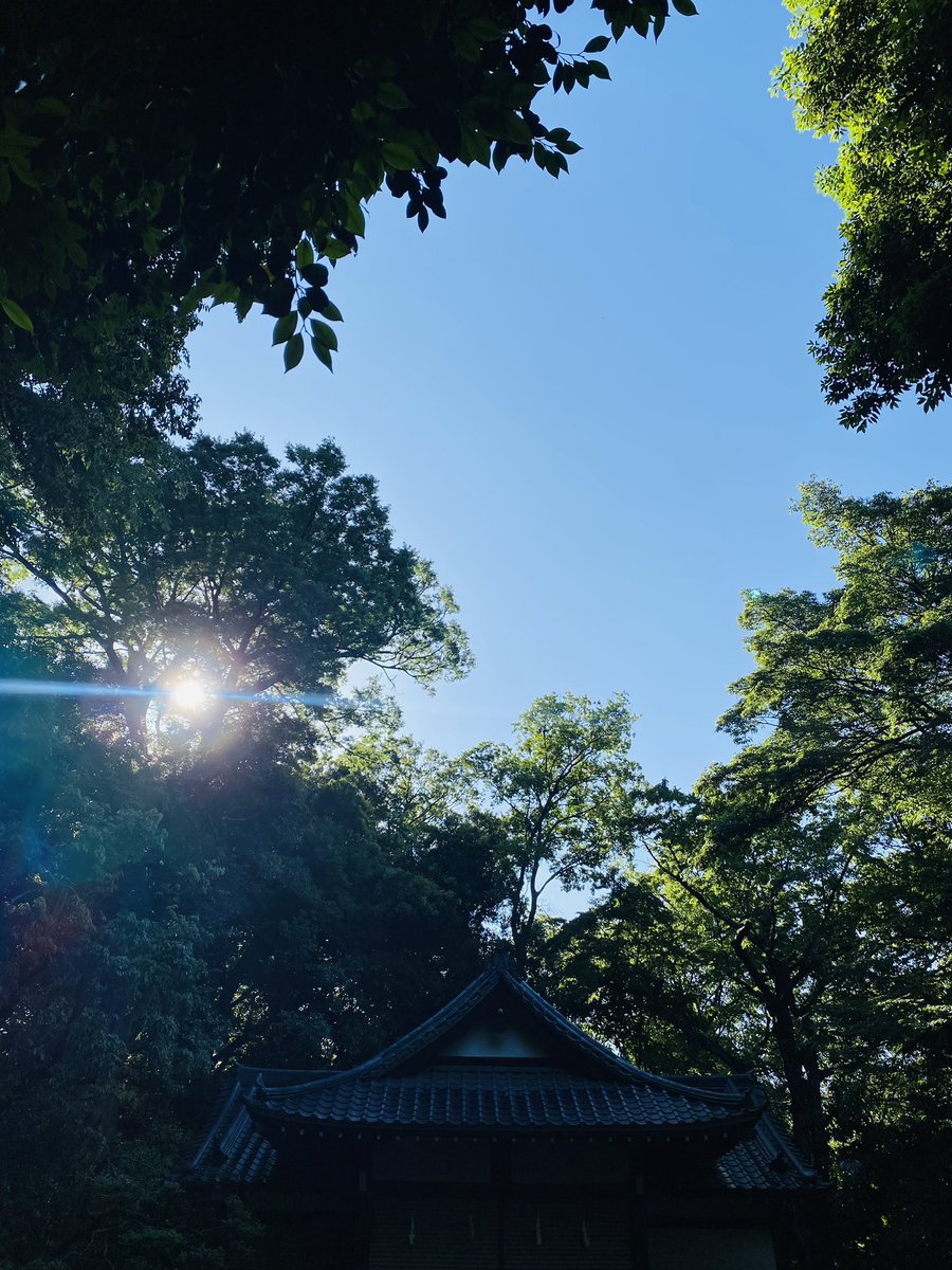 FlightscopeJ's tweet image. 今日のラウンドは気持ちいいだろうなあ☀️ #flightscope  #mevo #フライトスコープ #ミーボ #ローンチモニター #ゴルフ