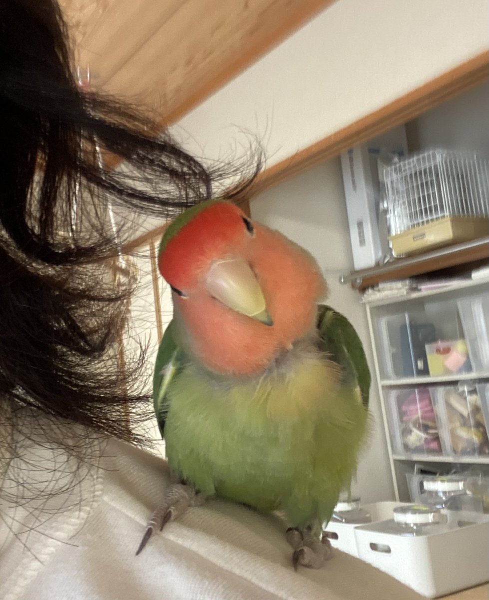 おはようございます☀️
アイちゃんです🥰
お元気にお過ごしください☕️