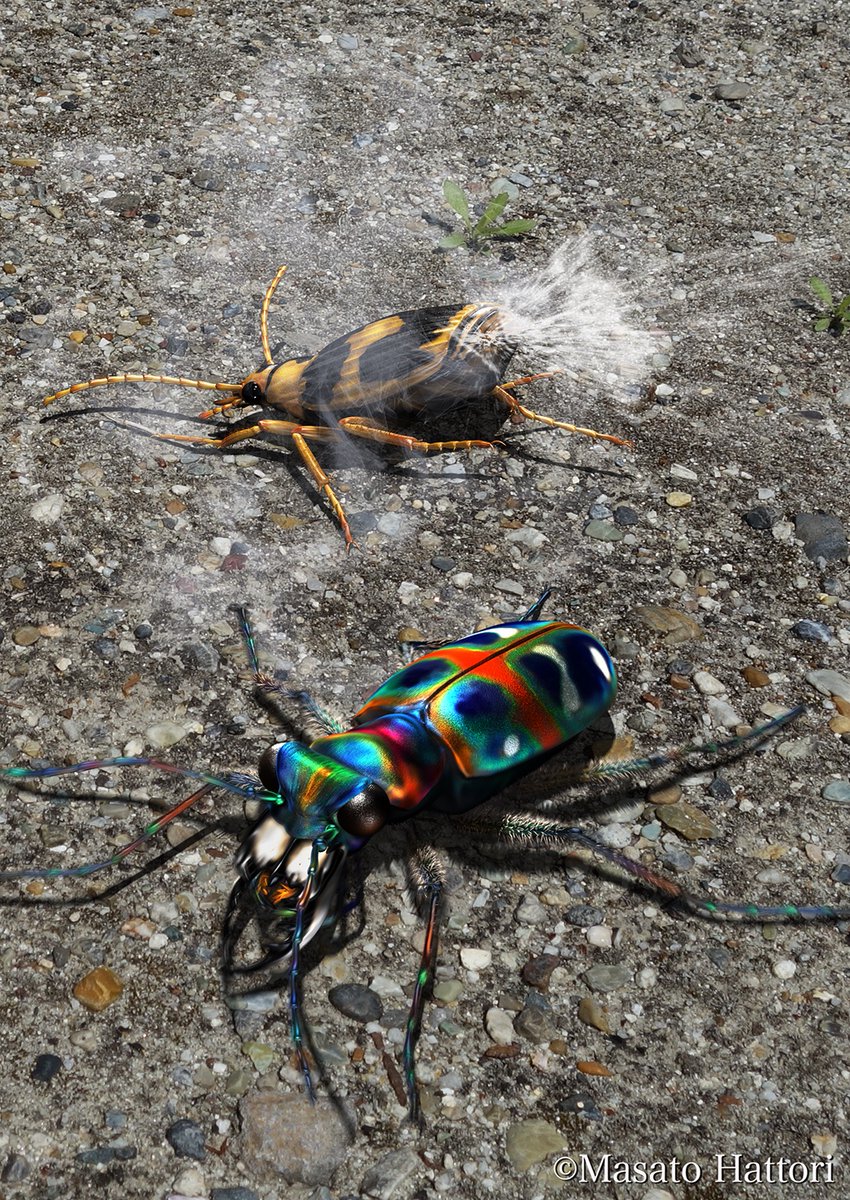 大人のための昆虫採集 完成版 シルバー製 タイタック、ブローチ 大人の