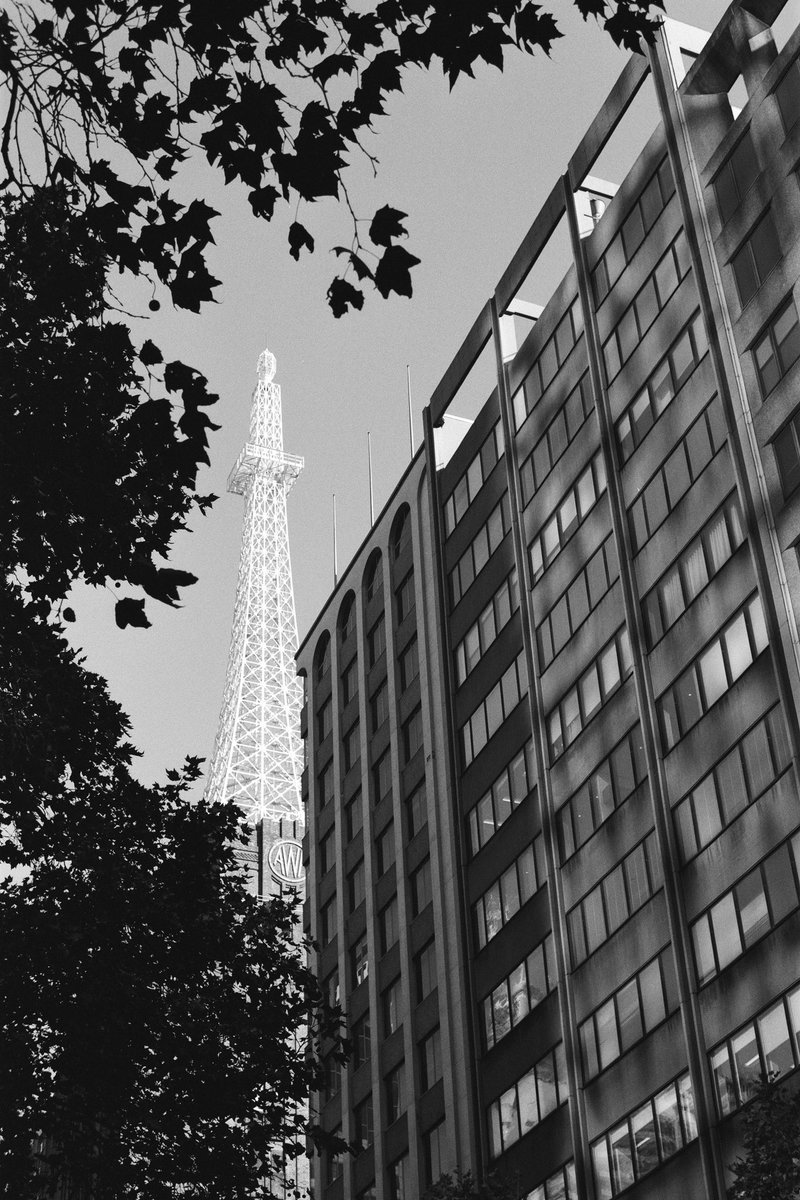 KSai0207's tweet photo. #50mm #istillshootfilm #フィルム #フィルム寫眞 #アナログ
#キャノン #ニューf1 #Canon #newf1 #newfd50mm #50mmf12 #ilforddelta100 #fujifilmpresto https://t.co/5Gm20xsU1A