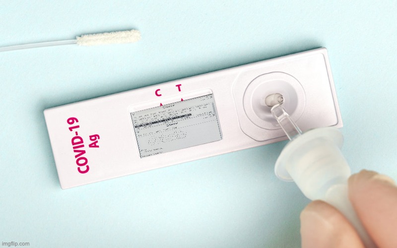 Polkachu Intern tweet media