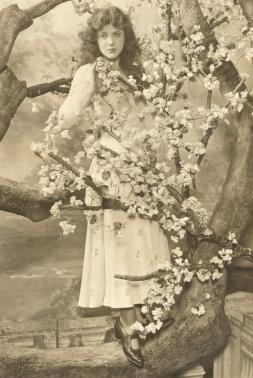 Portrait of  American stage, film, and television actress, aviatrix and novelist Ruth Chatterton. Photographed by White Studio, 1922.