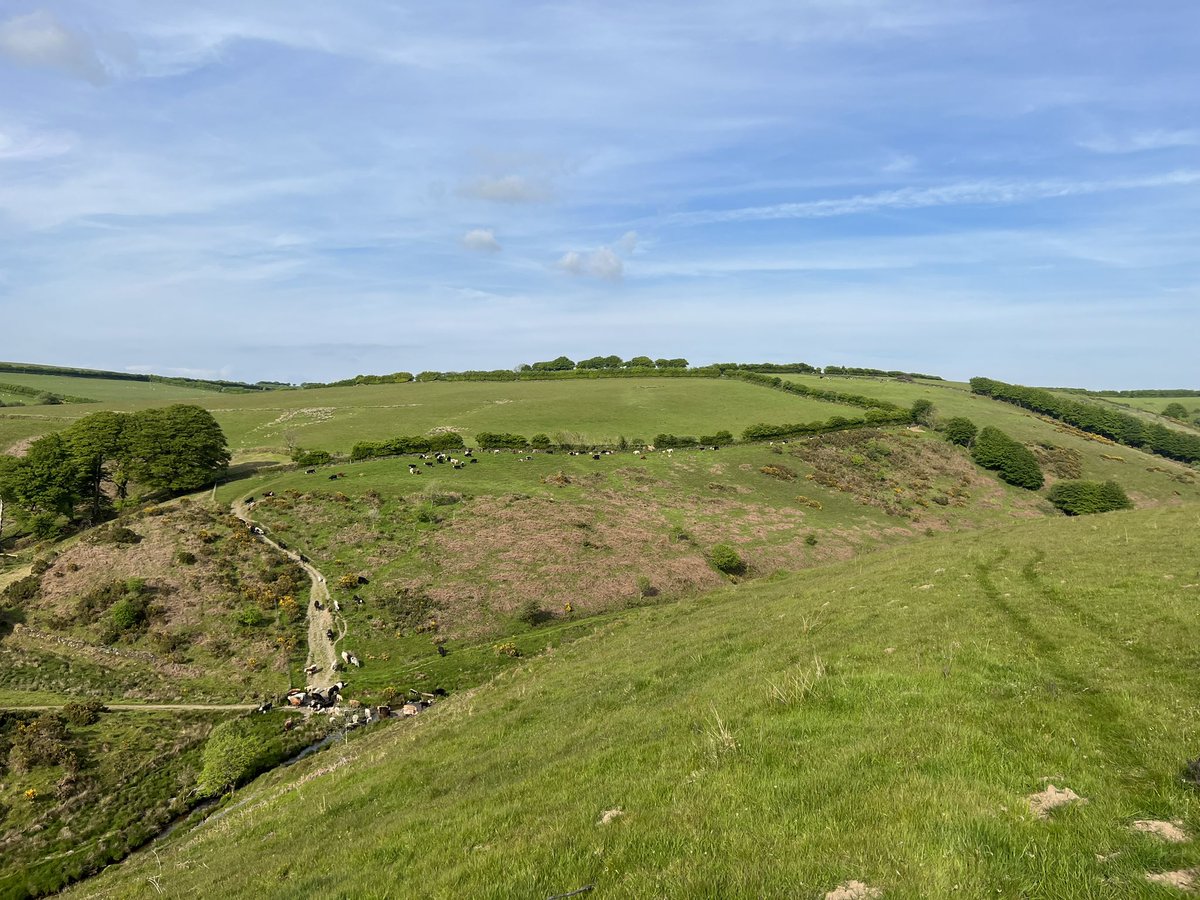 newlandfarm's tweet photo. Pairs on the Hill #FreshBite #MixedGrazing #ViewFromTheQuad https://t.co/ajTsvax6cU