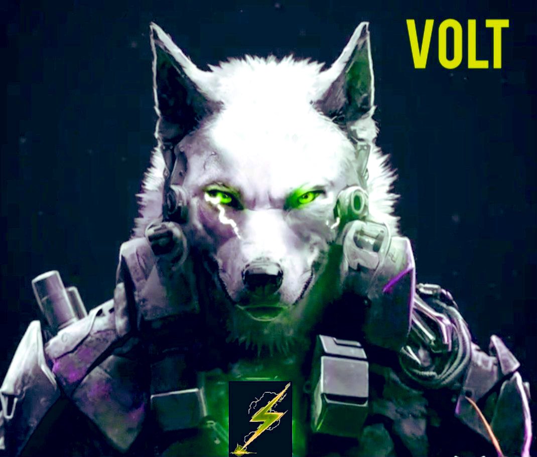 Joe_Crypto tweet media