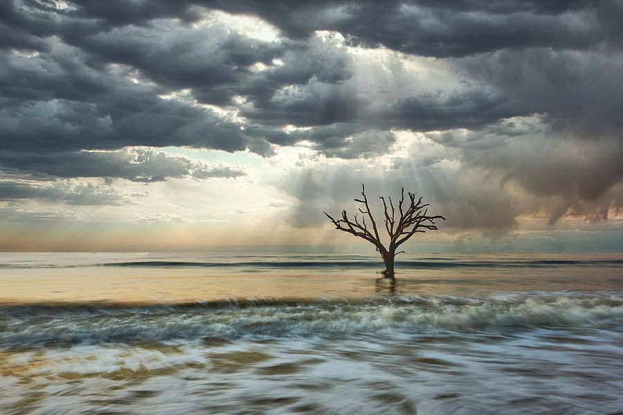 Art for the Walls! buff.ly/3dRvZPZ #photography #photograph #artistry #decor #decorate #design #amazing #artlover #picoftheday #naturelovers #artlovers #landscapelovers #nature #followers #fineartamerica #artworks #art
#botanybay #SouthCarolina