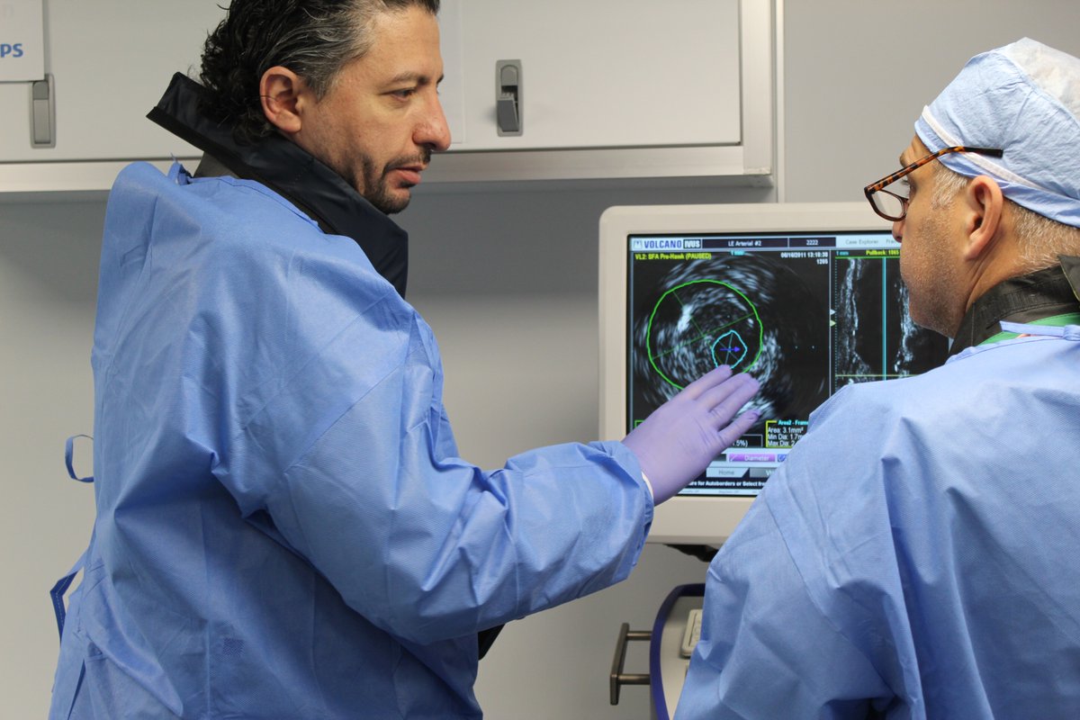 Noell Palmieri tweet media