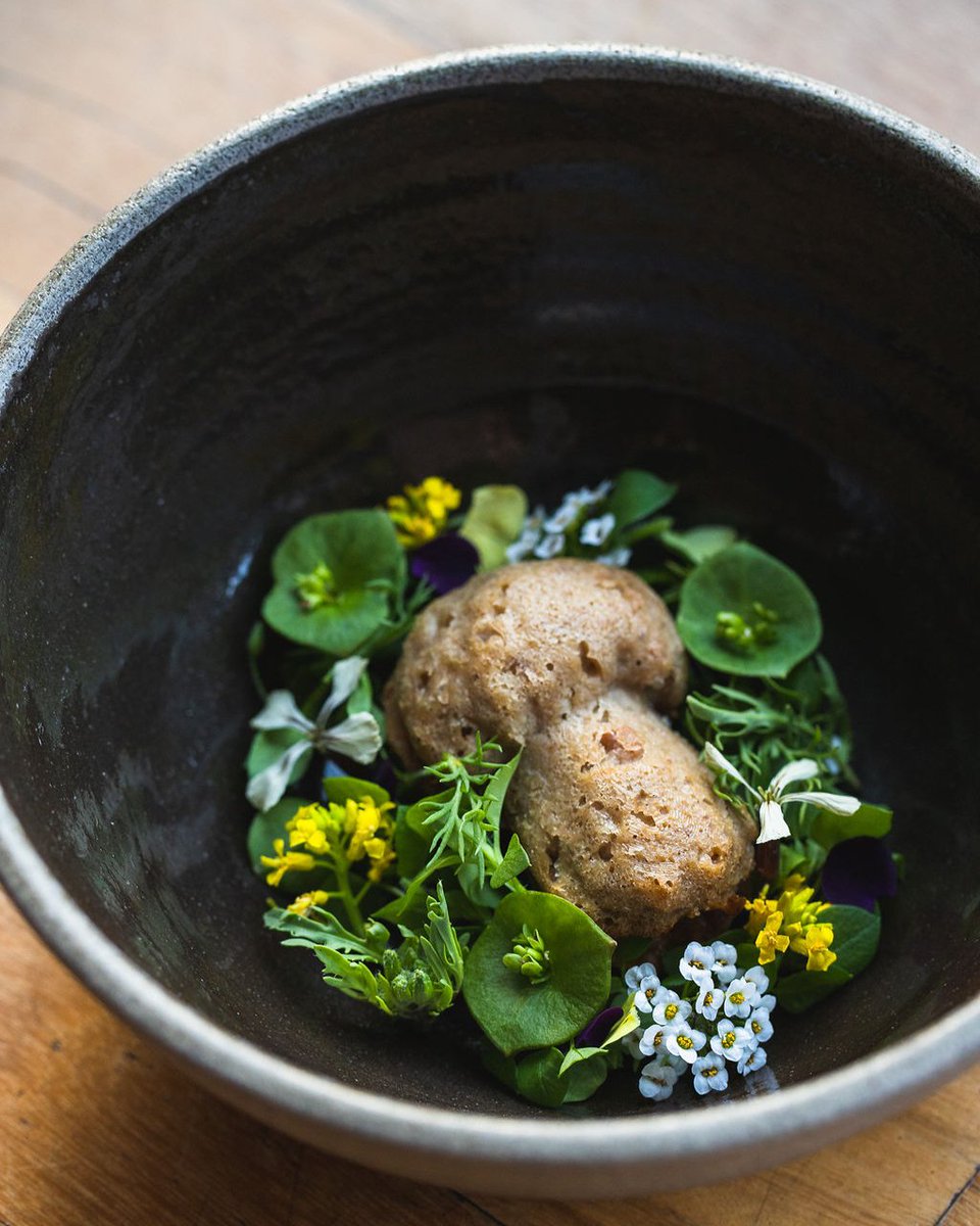 P O R C I N I  C A N E D E R L I

wild mushrooms · ramp salsa verde · montasio