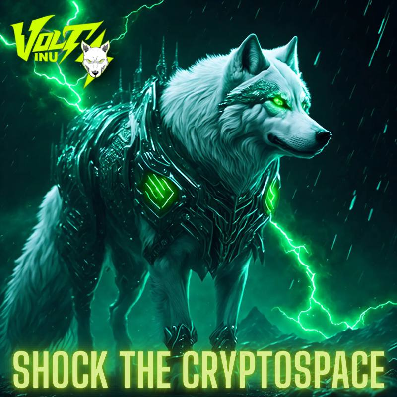 VoltInuOfficial's tweet photo. They'll all end up #VOLT'ing https://t.co/FRMnuWDz30