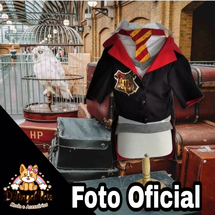 S*rteio no Instagram

Roupa Pet  Harry Potter 

instagram.com/p/CsmnPsTJRcE/…