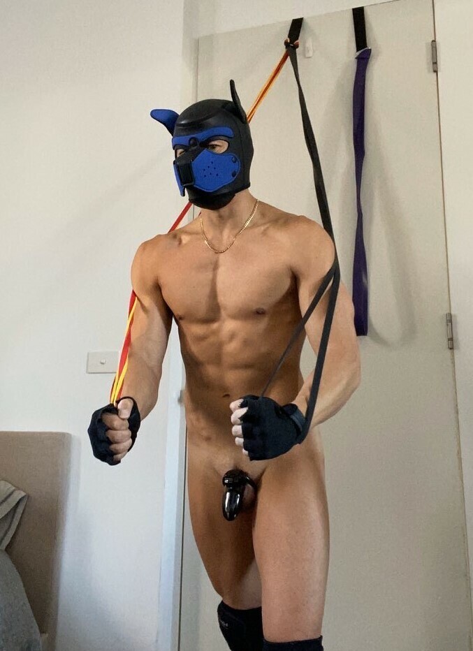 dom4muscles's tweet photo. A musclepup in chastity is a more focused pup. Who is a good boy?

Un cachorro musculoso es un cachorro más enfocado. ¿Quién es un buen chico? https://t.co/48No2xPCZ9