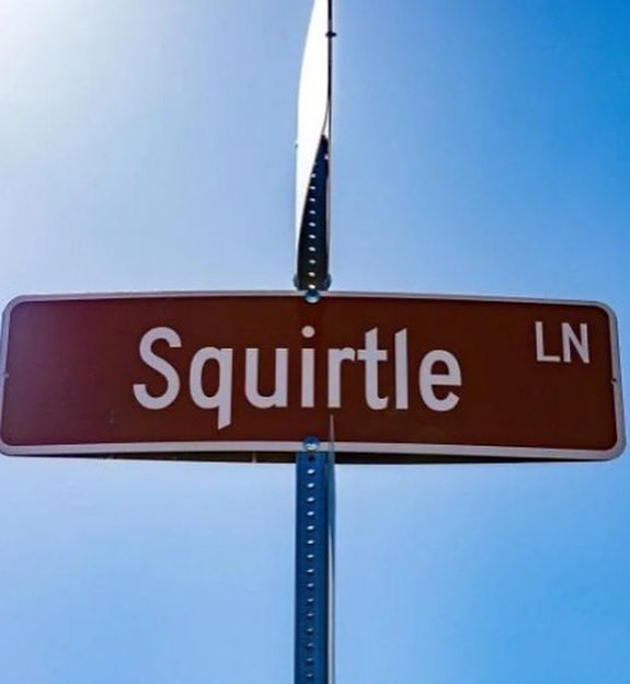 VegasIssues's tweet image. A neighborhood in Henderson named all of their streets after Pokémon.