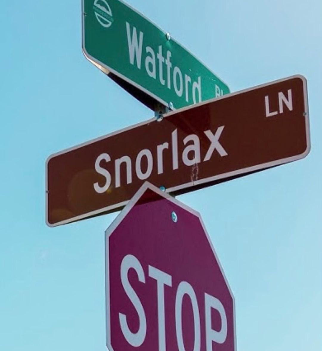 VegasIssues's tweet image. A neighborhood in Henderson named all of their streets after Pokémon.