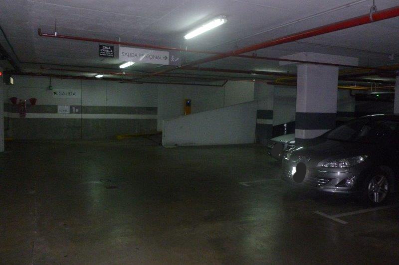 Luis Miceli tweet media