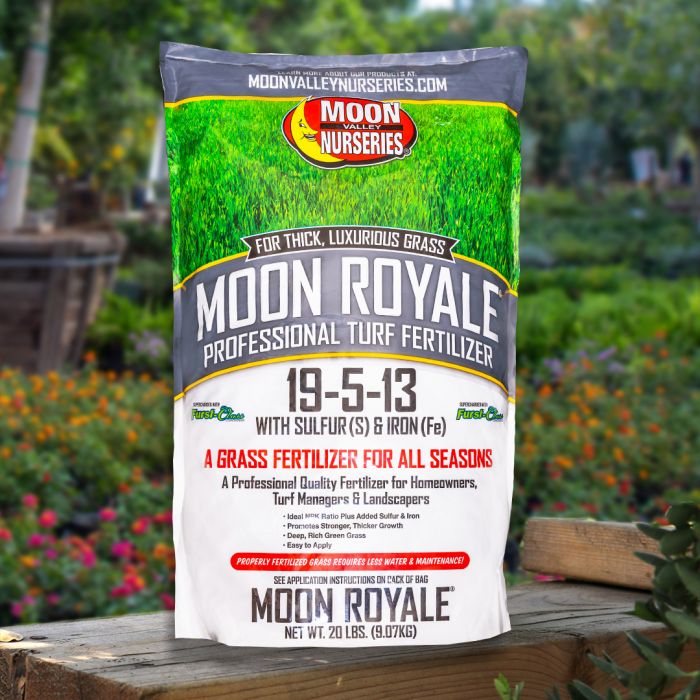MoonValleyTrees's tweet photo. Moon Royale® Turf Fertilizer acts quickly - you will usually start to see results in just four days as it goes to work greening up your #lawn!
More here: https://t.co/dfq4s6EW7I #turffertilizer #lawncare #greenlawn #MoonRoyale https://t.co/bjRePioVKG