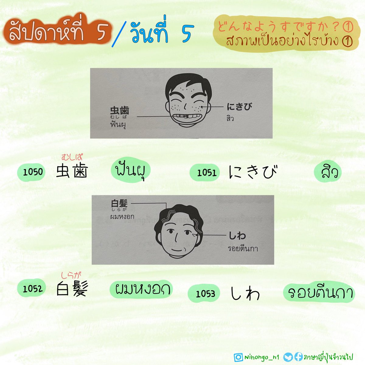 ThaijinJ's tweet image. 24/5/2023

คำศัพท์ N3 
1050-1071
.
.

บอกตัวเองว่า &quot;ไม่มีอะไรที่เราทำไม่ได้หรอก&quot;
บอกมันทุกวันค่ะ .. ✌️
วันนี้จำไม่ได้ .. พรุ่งนี้ เราจะจำได้ 

.
.
#คำศัพท์N3 
#日本語総まとめN3語彙
#JLPTN3