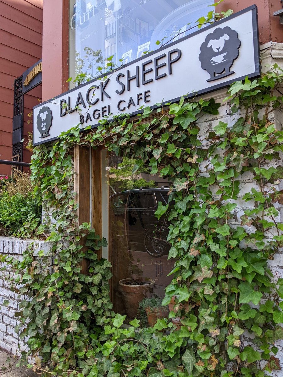 #BlackSheepCambridge #bagel #breakfast #graduation2023