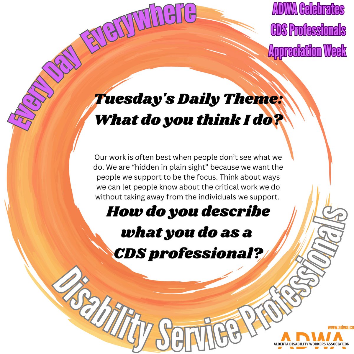 How do you describe what you do as a Community Disabiltiy Services Professional?