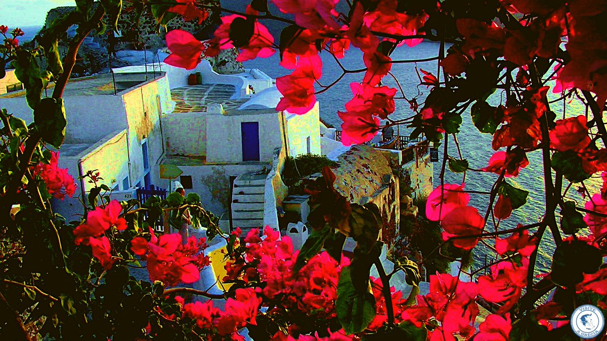 visiteagrecia's tweet photo. 🚶 📸A diversidade de cores está presente por toda a #Grécia. E #Santorini se transforma em uma atração à parte na primavera! 💯🇬🇷⁣ ⁣⁣ 

#greece #ellada #ελλαδα #hellas #ελλας #santorinigreece #σαντορίνη #ilhasgregas #turismonagrecia #dicasdeviagem #viagem #viajar #turismo https://t.co/GO2lcOfhMv