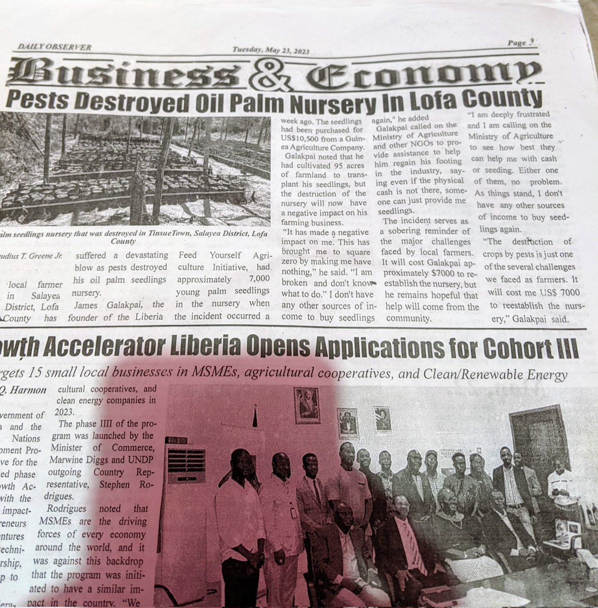 GalakpaiK's tweet photo. SOS 🆘🆘 Call to Like-minded Liberian, Government of Liberia 🇱🇷, Development Partners to please see reason in helping Liberia Feed Yourself Agriculture Initiative-LIFAI base in Lofa county in recovering our damage Palm 🌴 on our Nursery site May 8/2023 . https://t.co/HkF8J3nf6W