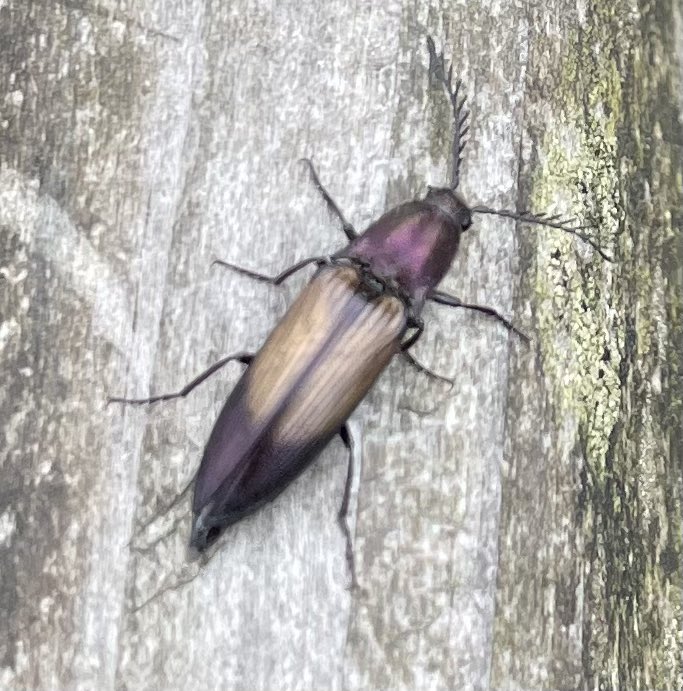 Kate Renton tweet media