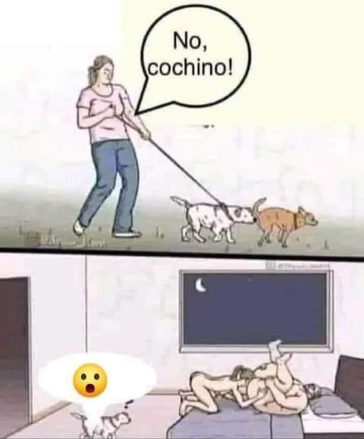 _Anticristi's tweet photo. Aprendimos de los perros https://t.co/g66DgA1AXn