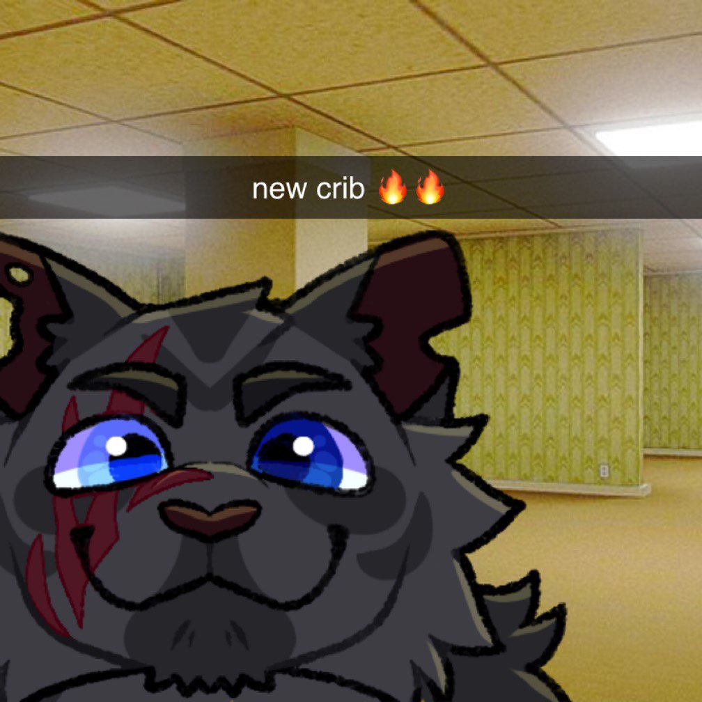 pubbii_wc's tweet photo. homie's chillin
#warriorcats #warriors #warriorcatsoc #warriorcatsocs #warriorsoc https://t.co/tKH3zlhqIV