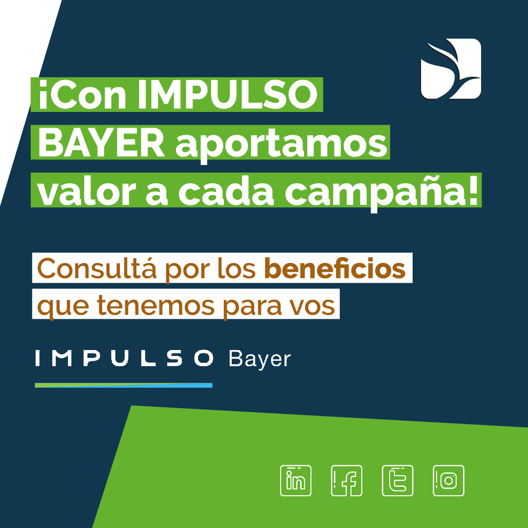 monchoehijos's tweet photo. 👉¡Con #IMPULSOBAYER formamos parte de una comunidad cada día más grande!
¡Potenciate vos y tu campo!
¡Hacé tu consulta en cualquiera de nuestras sucursales o contactanos por nuestras redes! 📲
@ImpulsoBayerAR
@AgroBayerAR https://t.co/OI78zYlzeJ