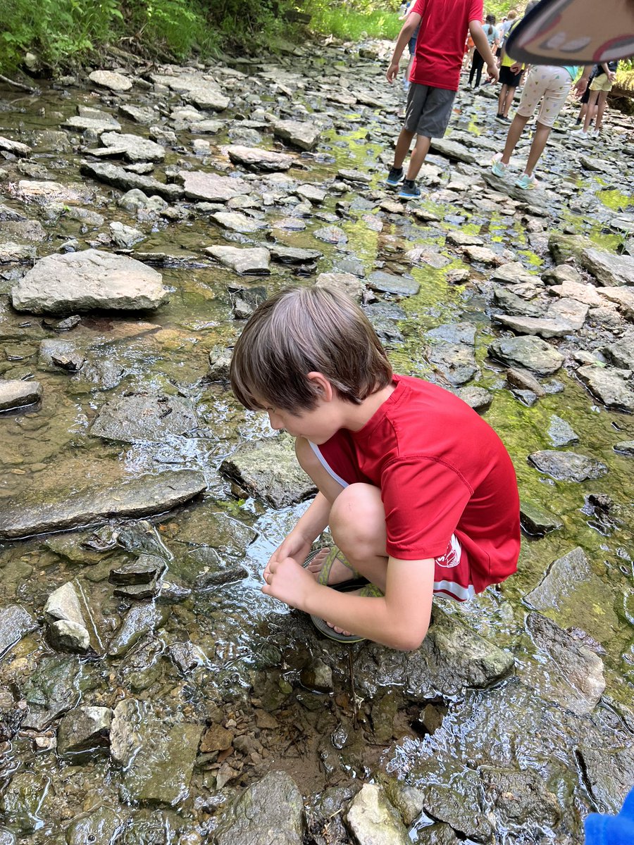 Mrs. Thomas's Tweets tweet media