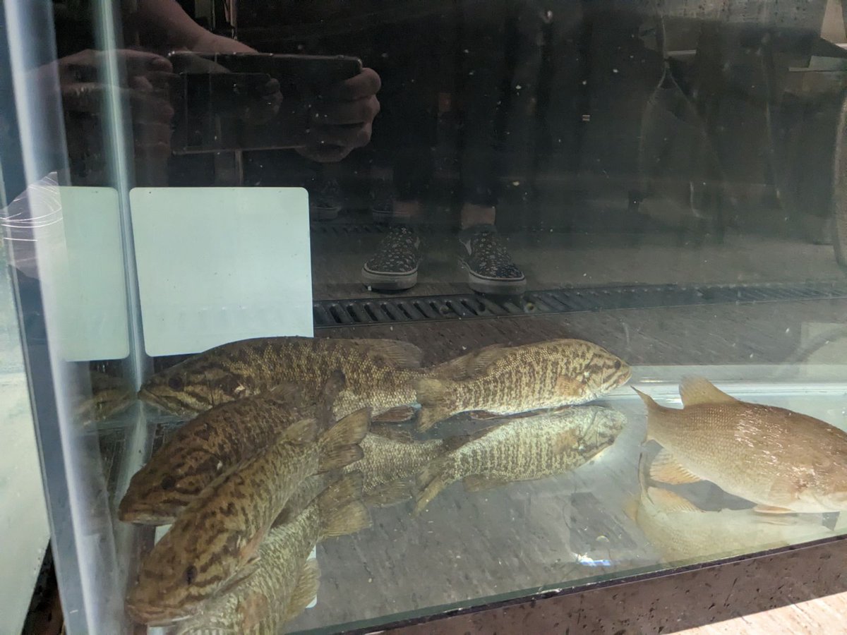 Katie Whitlow, PhD tweet media