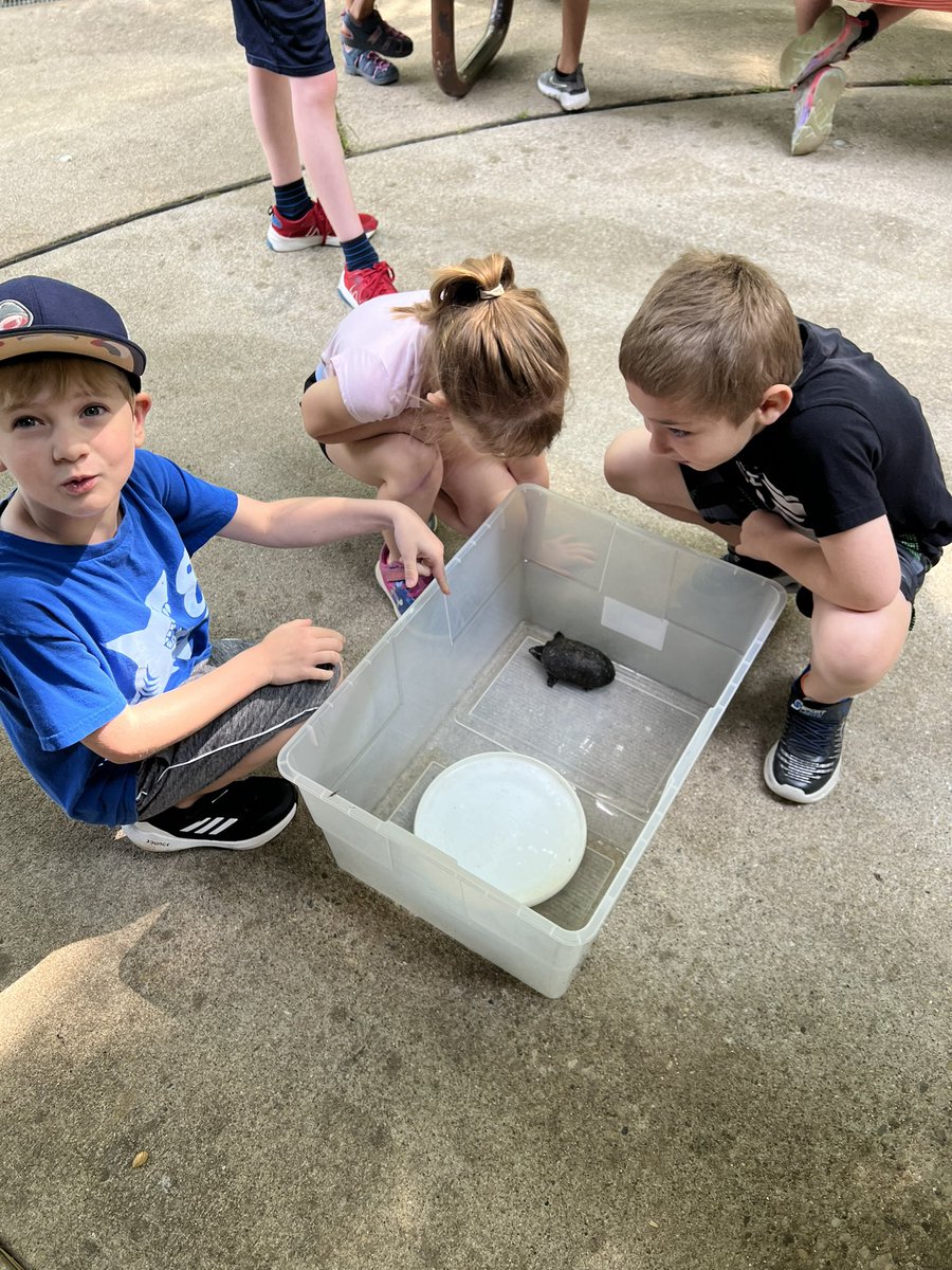 Mrs. Thomas's Tweets tweet media