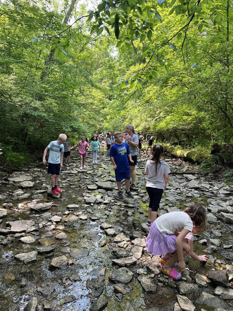 Mrs. Thomas's Tweets tweet media