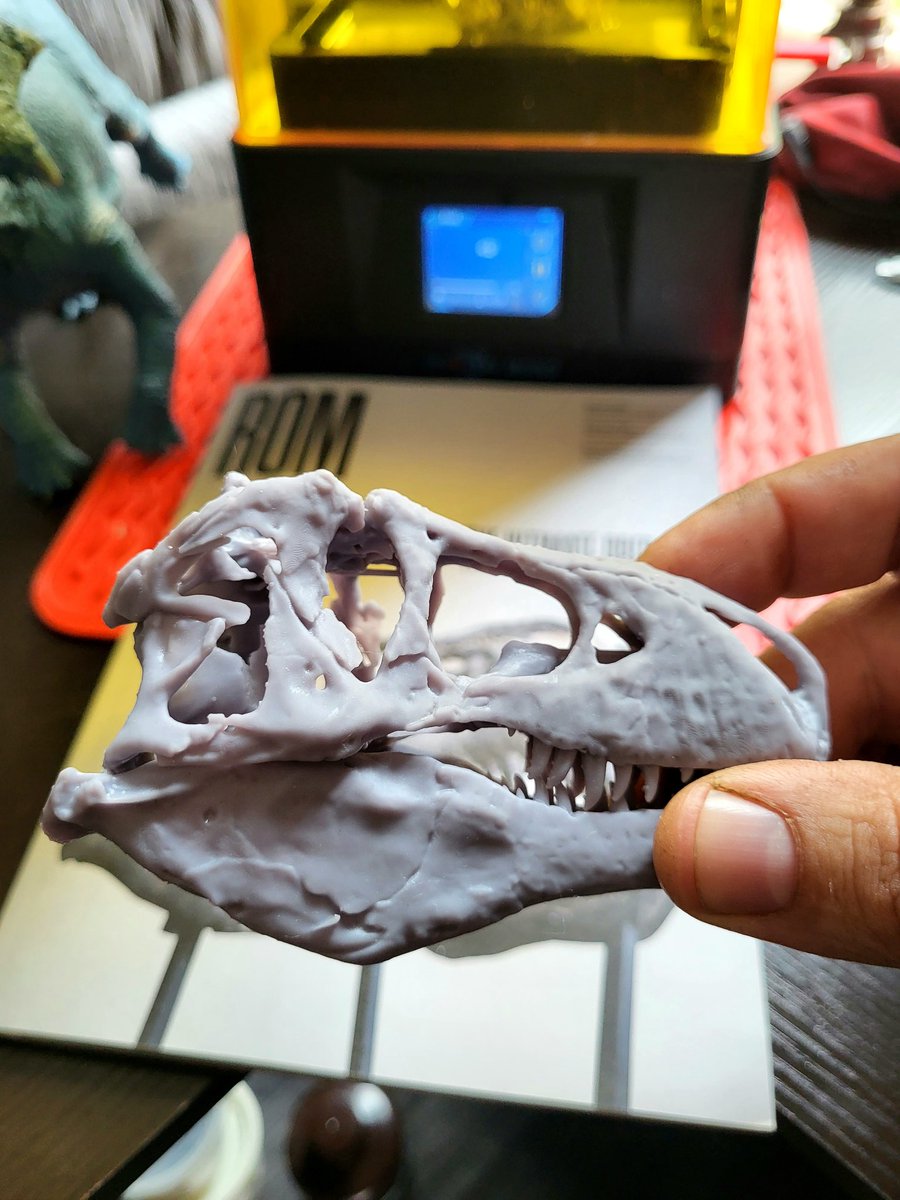 DinosaurDungeon's tweet photo. I'm just reading an article by @DavidEvans_ROM from a recent issue of @ROMtoronto magazine well 3D printing a couple beautiful tyrannosaurus rex skulls! #romtoronto #dinosaurs #paleontology #paleoart #TRex #scalemodels #3Dprinting #magazine https://t.co/hx7xOrs06B