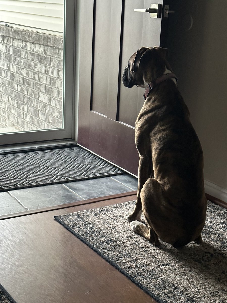 LifeTimeUte's tweet image. Carl waiting for something.