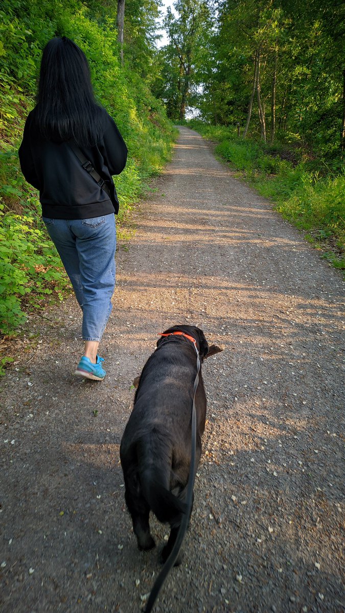 Прошлись немножко)) несколько км