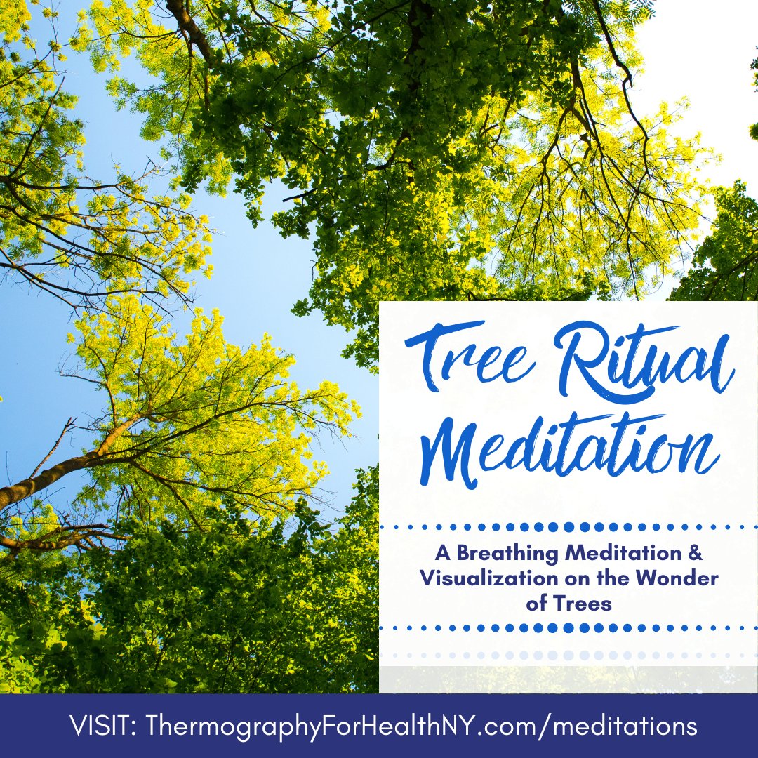 We have the breath of life because of trees.

Download this meditation (and others!) Link in bio

#thermforhealth
#thermographynyc
#healthymindbodyspirit
#meditationforhealth
#treeritualmeditation
#forestbathing