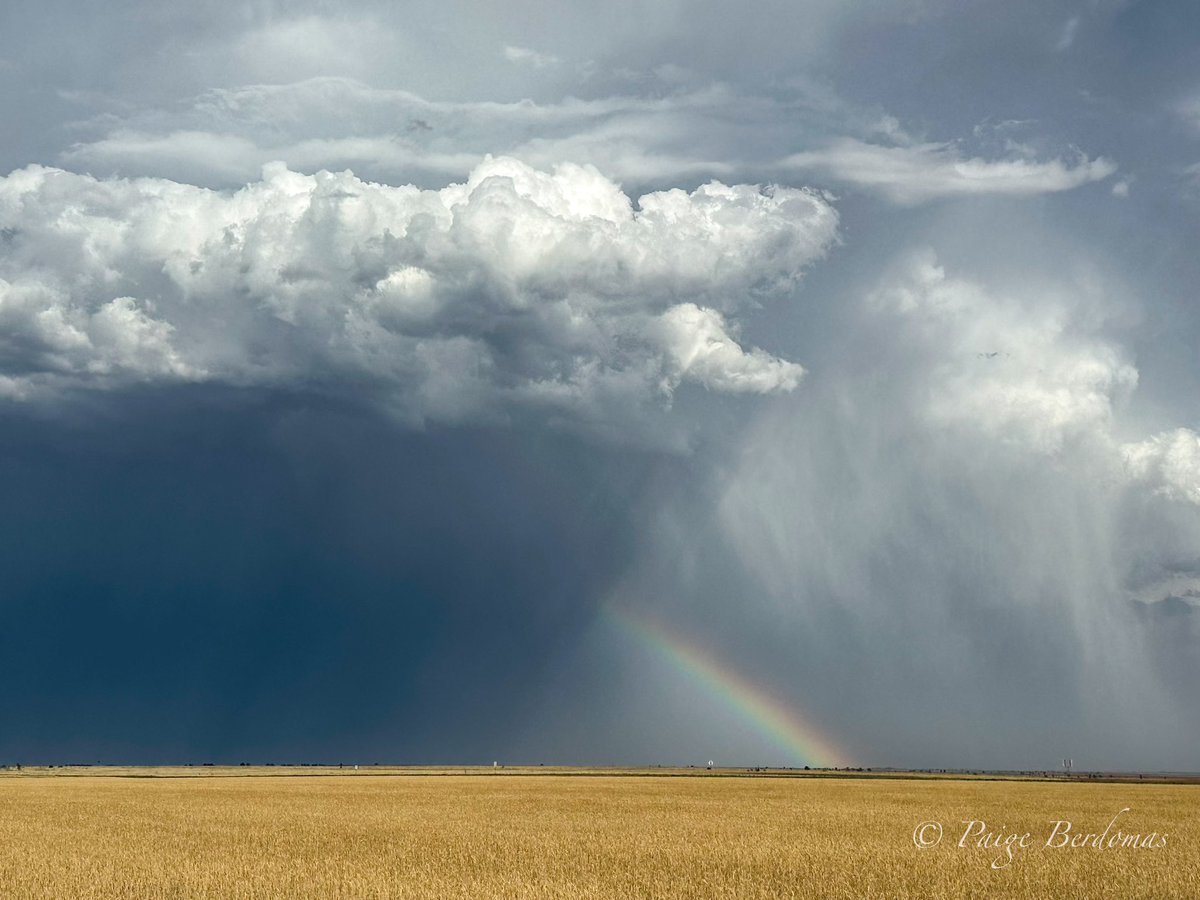 tornadopaigeyy's tweet image. I heard there were softballs in here🥎#txwx