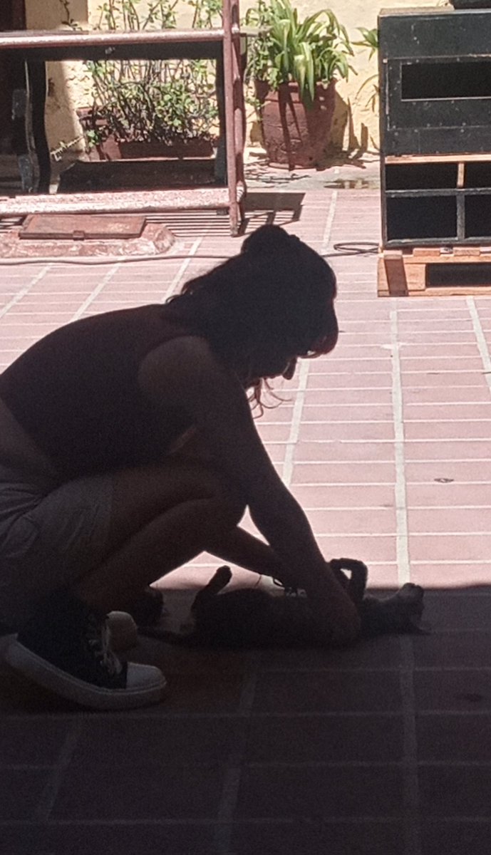 yo si adoro acariciar los gatitos k me encuentro por ahí <3