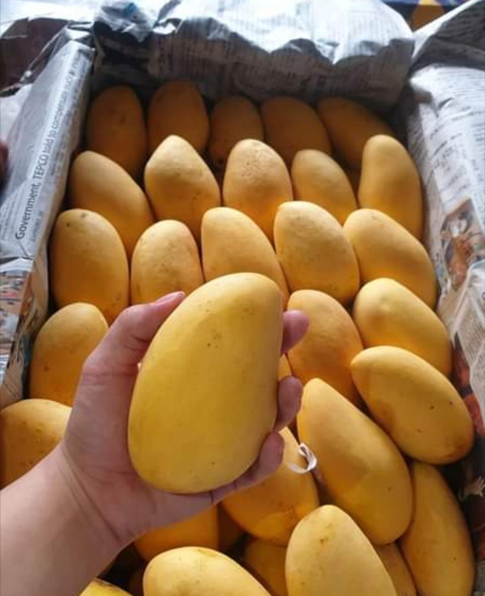 Talpur Traders tweet media