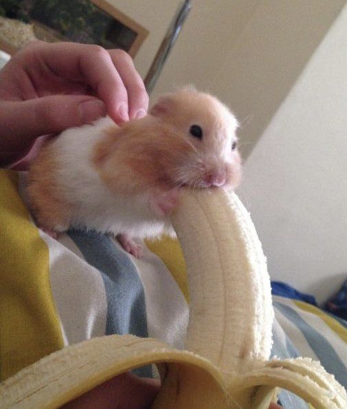 2 pic. Spot the difference   New scene with @bellablu_x dropping real soon! https://t.co/r4qQYab8DH<a class="tags" href="/tag/bellablu_x">@bellablu_x</a>