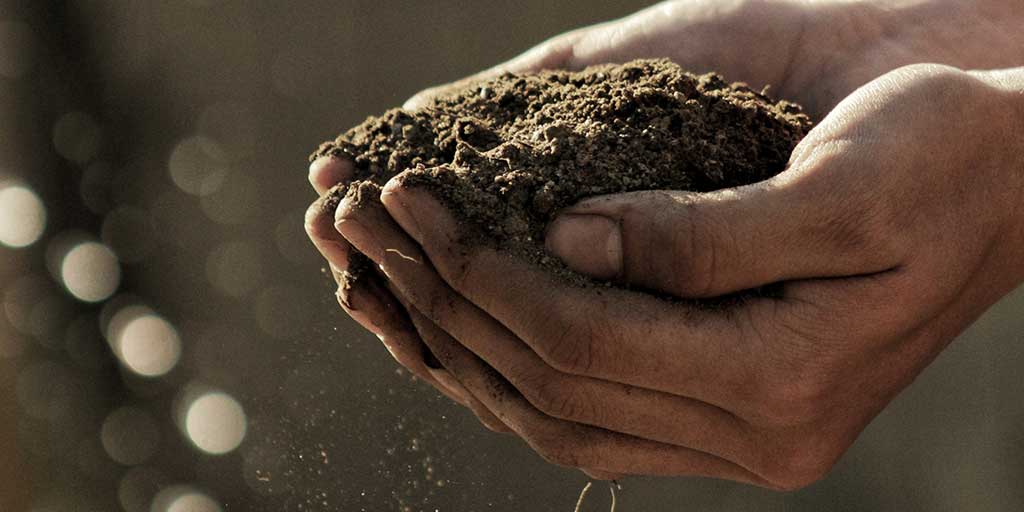 Visualising Australasia's Soils aims to provide participants of the @SoilCRC with access to reliable quality soil data cerdi.edu.au/VAS
@FedUniAustralia
partnered w/
@mwlr_nz
@UTAS_
@unisqaus
@BCG_Birchip
@CWFS_Condo
@TheGillamii
@HolbrookLN
@AuNutrien
@LiebeGroup
+more