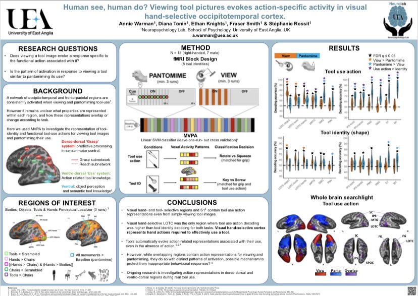 Dr Stephanie Rossit 🧠👀🖐 tweet media
