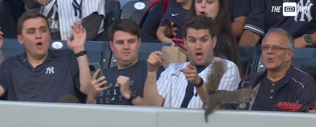 BigPermBigWorm2's tweet photo. @YESNetwork This isn't the guy on the rights first squirrel rodeo #squirrelmaster https://t.co/7D9Nji8yhV