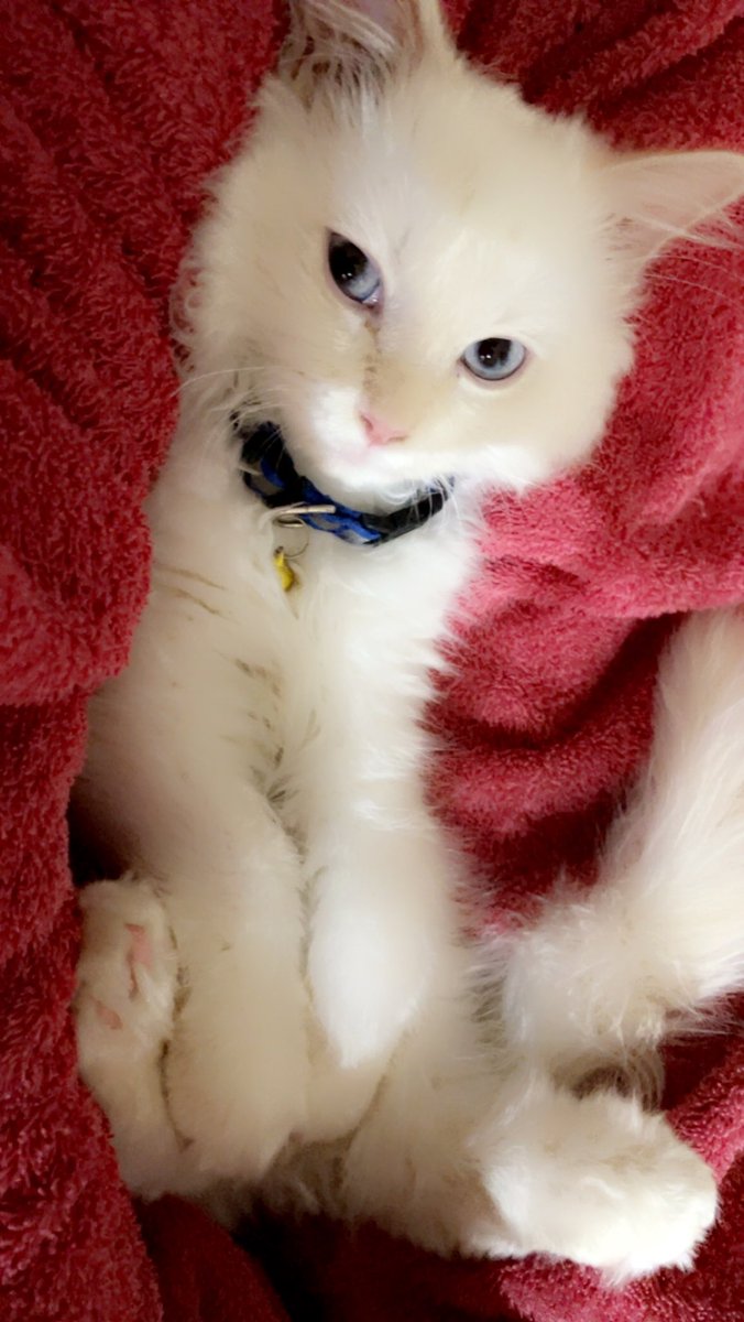 Here you go. Will be deleting it soon