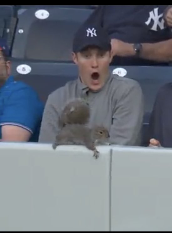 DetroitDen313's tweet photo. @barstoolsports Just saw boobs for the first time https://t.co/HpjK0u3zBK