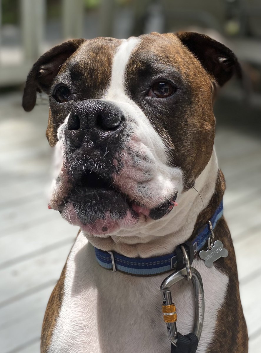 Jennifer Allen tweet media