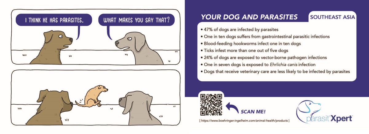 Vito Colella tweet media