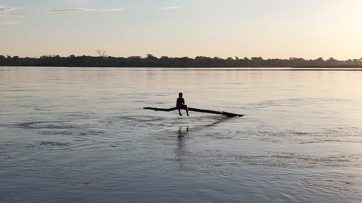 #SíAlYasuní porque es uno lugares más biodiversos del 🌎 4000 especies de 🌳 653 especies de 🦜 200 especies de 🦥 y 268 especies de 🐸 #SemanaDeLaBiodiversidad
